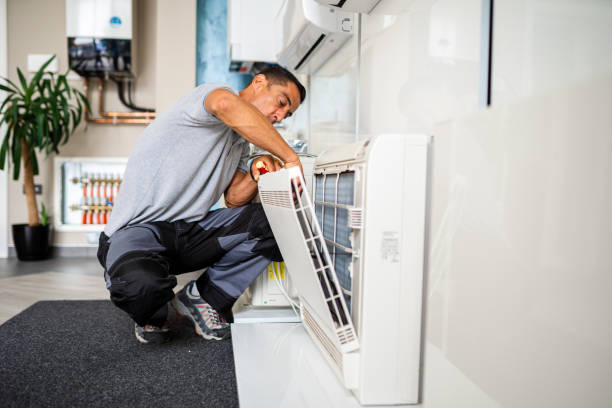 Best Local Air Duct Cleaning Services  in Rainsville, AL