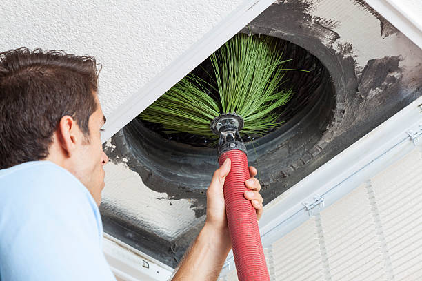 Best Affordable Air Duct Cleaning  in Rainsville, AL